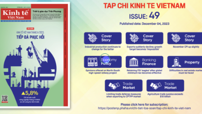 Tap chi Kinh te Viet Nam, Issue 49