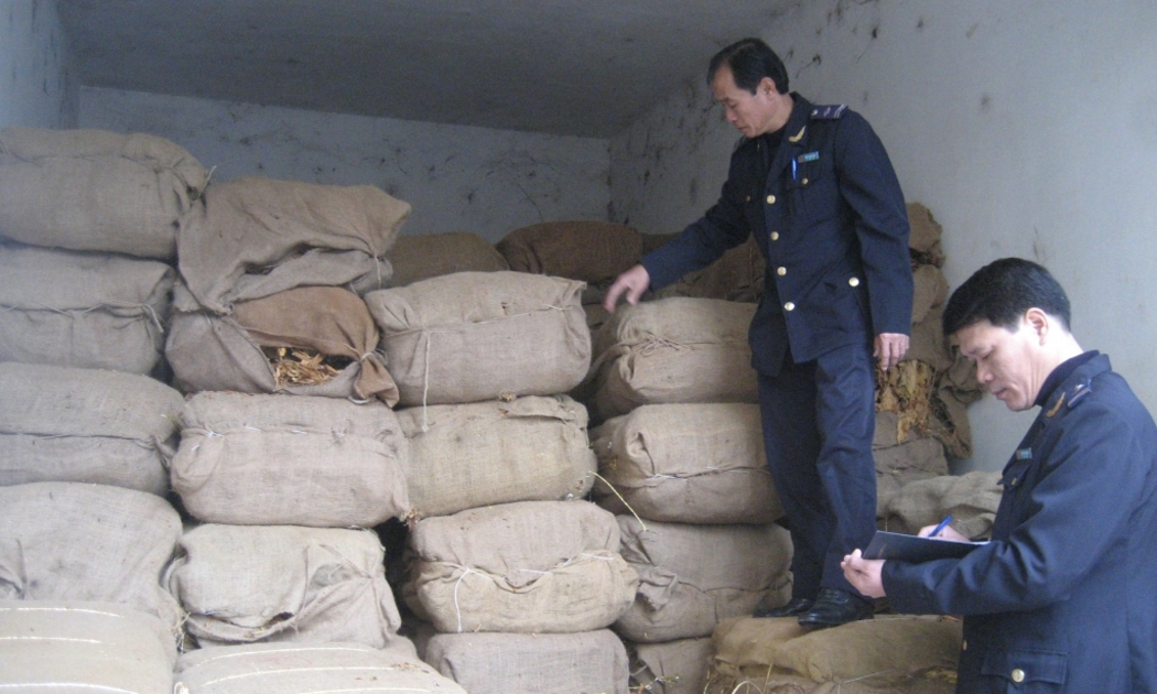 Cán bộ đội Kiểm soát hải quan tại Cao Bằng kiểm đếm số thuốc lá lá nhập lậu bị thu giữ.