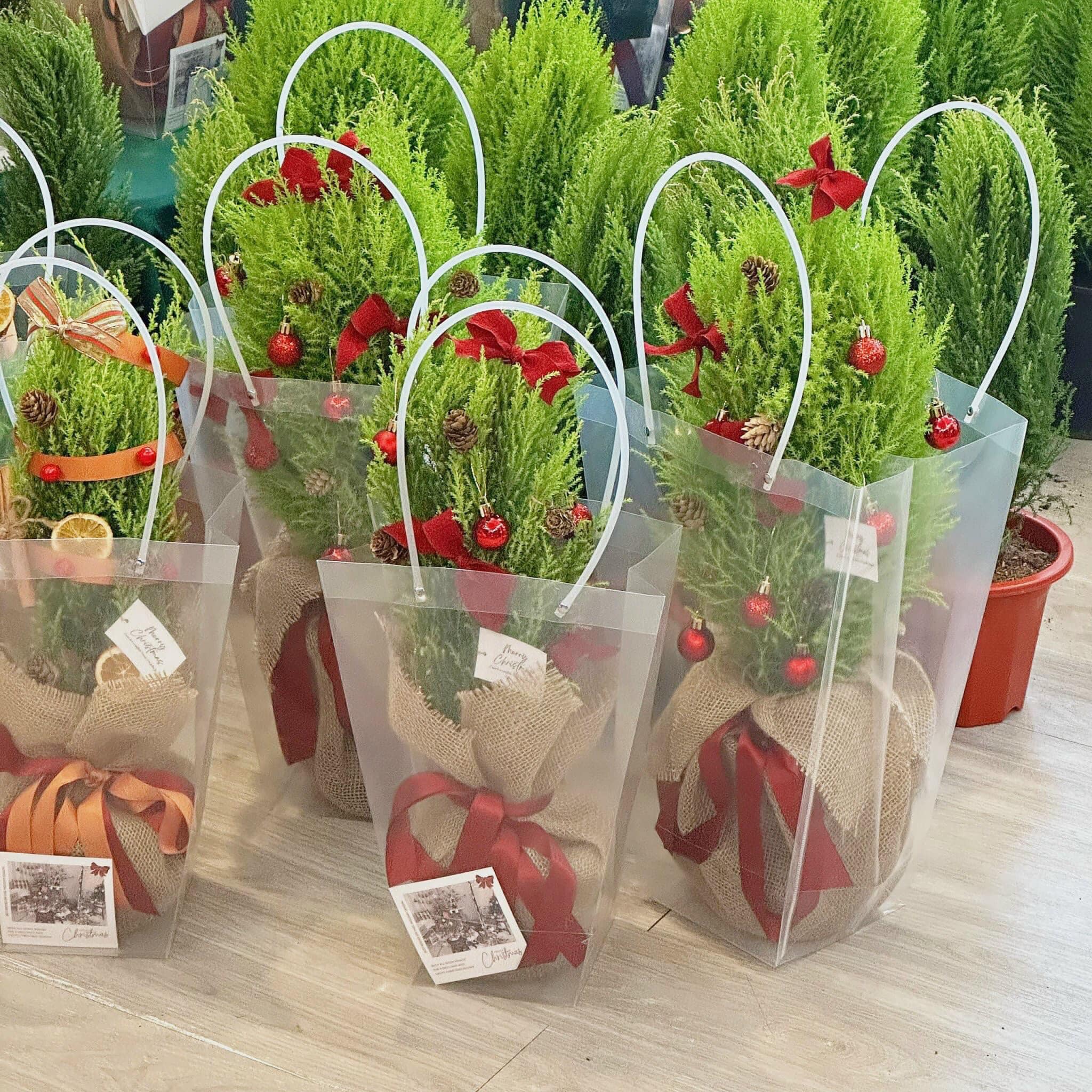 Năm nay, kh&aacute;ch h&agrave;ng chuộng những c&acirc;y th&ocirc;ng nhỏ v&igrave; hợp với t&uacute;i tiền v&agrave; kh&ocirc;ng gian trong nh&agrave;.