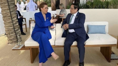 Vietnam & Denmark partners in reaching ambitions