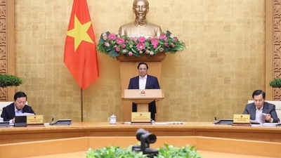 Prime Minister chairs November government meeting