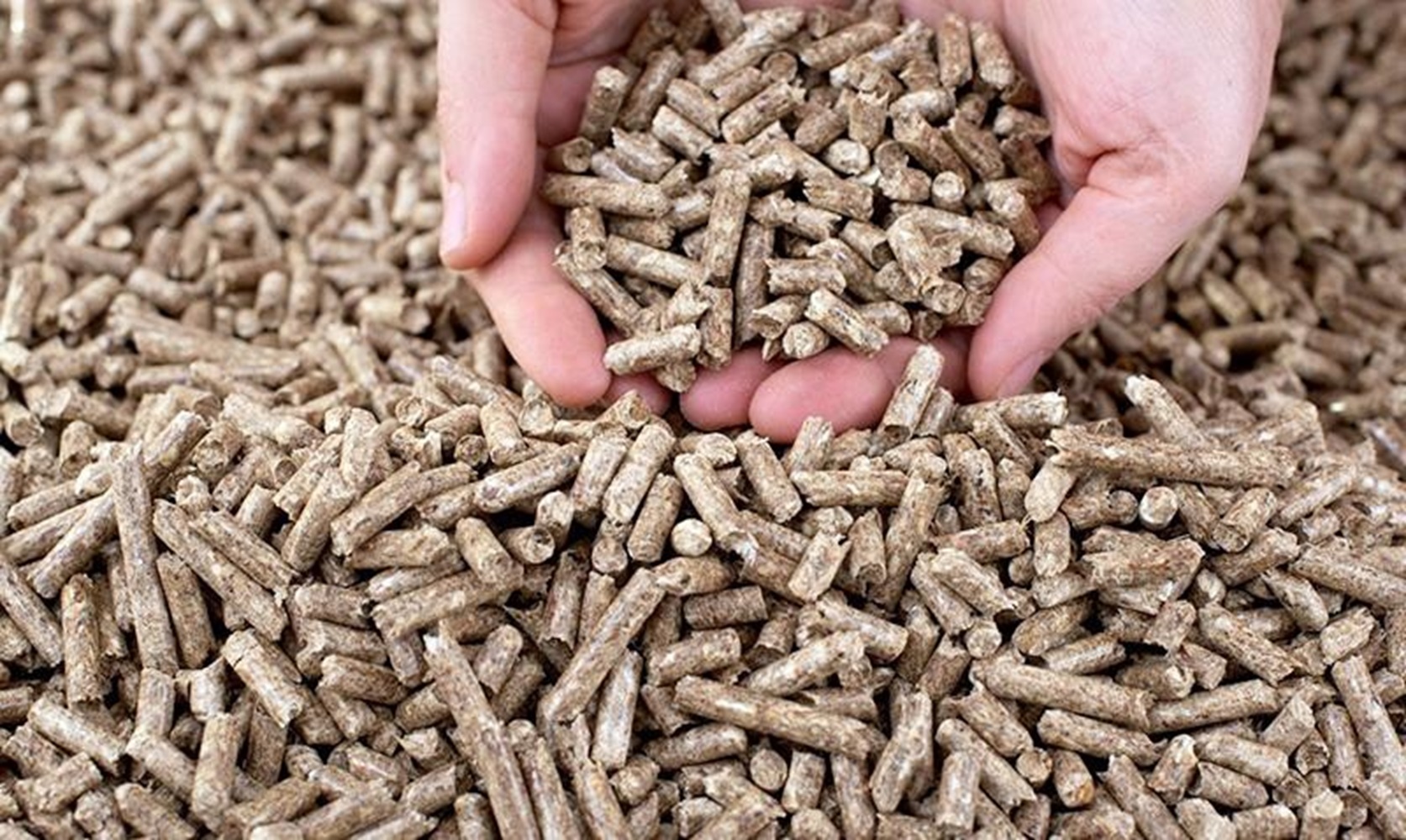 Xuất khẩu viên nén đã chững lại và suy giảm.