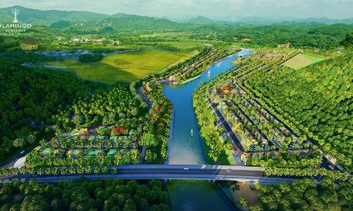 Flamingo - Dấu chân thầm lặng làm đẹp những miền xanh Tổ quốc