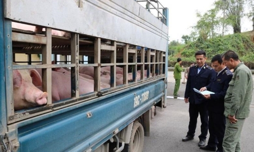 Ngăn chặn đầu cơ găm hàng, đảm bảo nguồn cung thực phẩm Tết