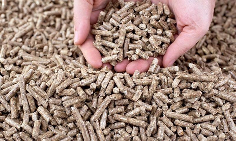 11M wood pellet exports hit $597mln