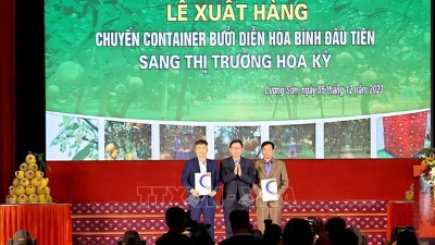 First batch of ‘Dien’ pomelos exported to the US