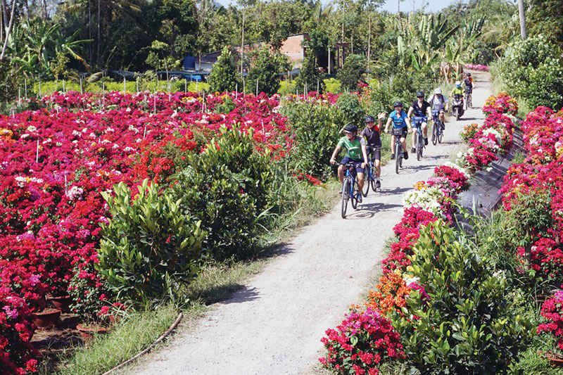 Làng hoa kiểng Cái Mơn (Chợ Lách) là một trong những điểm đến hấp dẫn, thu hút du khách trong nước và quốc tế.