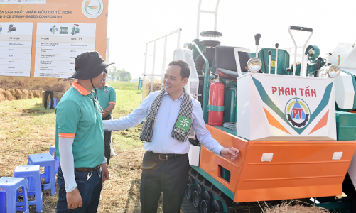 Triển khai Đề án phát triển bền vững 1 triệu ha lúa chất lượng cao gắn với tăng trưởng xanh