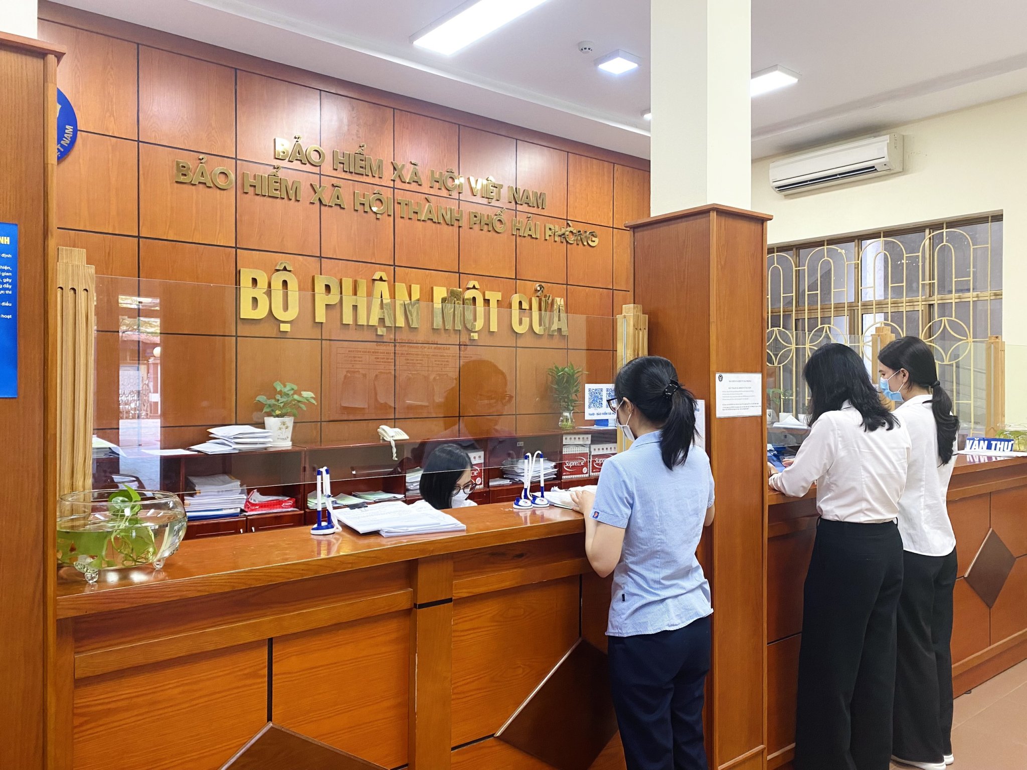 Số nợ, chậm đóng bảo bảo hiểm xã hội trên địa bàn Hải Phòng lên tới hơn 637 tỷ đồng