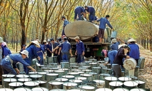 Khai thông các vướng mắc, tạo đột phá trong hợp tác đầu tư Việt Nam – Campuchia