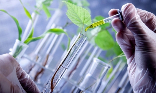 Bất hợp lý xung quanh ưu đãi thuế VAT đối với cơ sở dịch vụ khoa học và công nghệ 