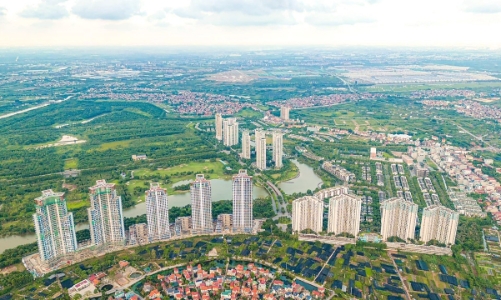 Người đầu tư bất động sản thường mua theo thói quen