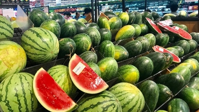 Vietnamese watermelons to be officially exported to China