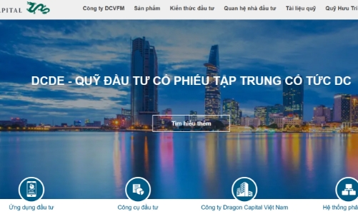 11 tháng, quỹ DCDE tăng trưởng vượt VN-Index và tập trung vào các mã 