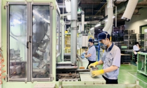 Thuế tối thiểu toàn cầu ảnh hưởng tới 44 