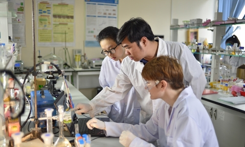 TP.HCM: Đưa sở hữu trí tuệ trở thành công cụ nâng cao năng lực cạnh tranh