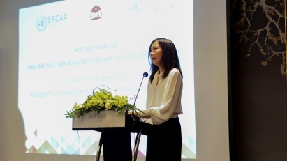 UN Resident Coordinator highlights improved living standards in Vietnam
