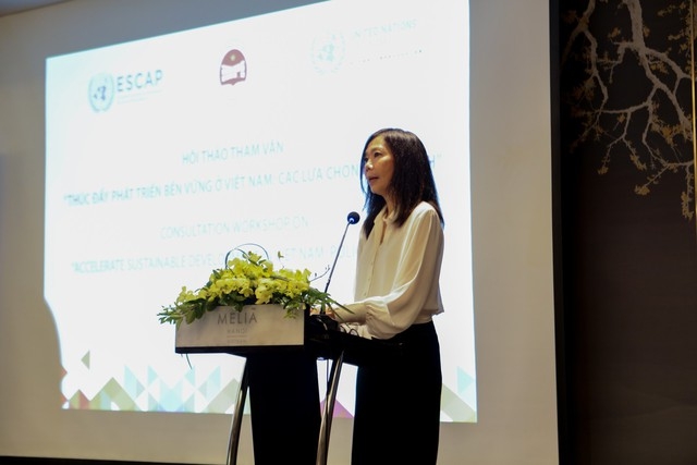 UN Resident Coordinator highlights improved living standards in Vietnam