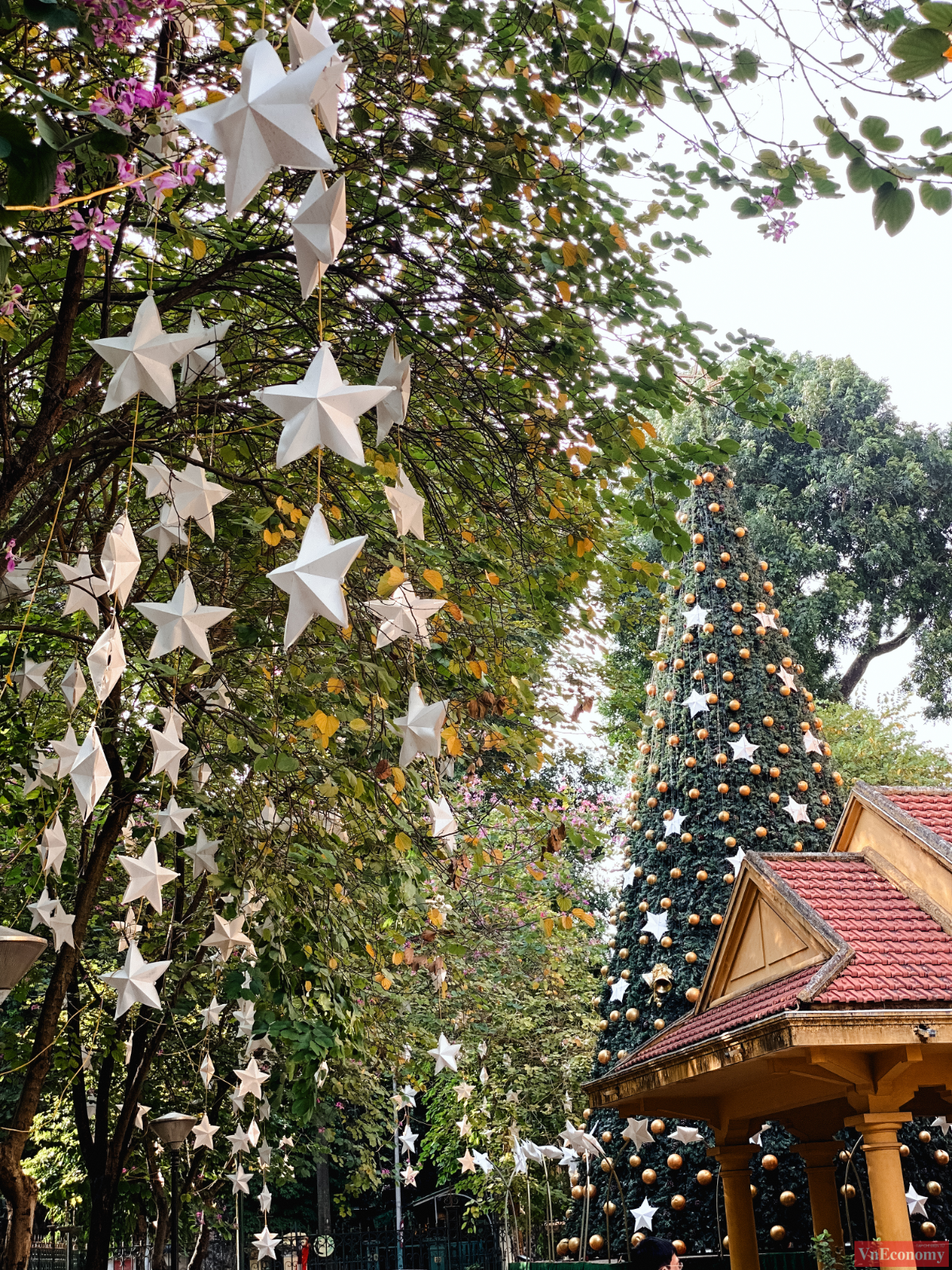 Cũng l&agrave; một điểm đến thu h&uacute;t nhiều du kh&aacute;ch trong dịp Gi&aacute;ng sinh, c&acirc;y th&ocirc;ng Noel tại nh&agrave; thờ Cửa Bắc c&oacute; chiều cao khoảng 12m , được trang tr&iacute; lộng lẫy với nhiều quả cầu, d&acirc;y chu&ocirc;ng, ng&ocirc;i sao lớn v&agrave; đ&egrave;n điện.