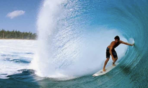 Chứng khoán 2024 sẽ đón nhận một con sóng lớn? 