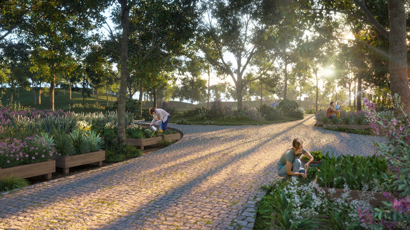 Vườn thảo dược.