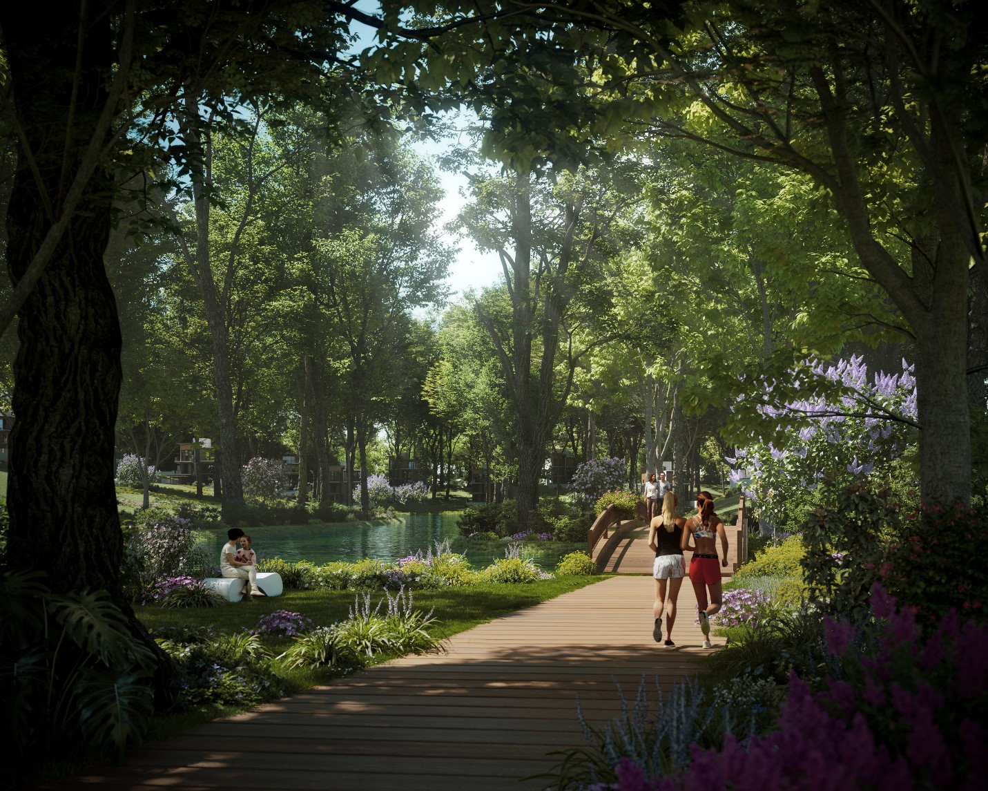 Rừng chạy ion &acirc;m.