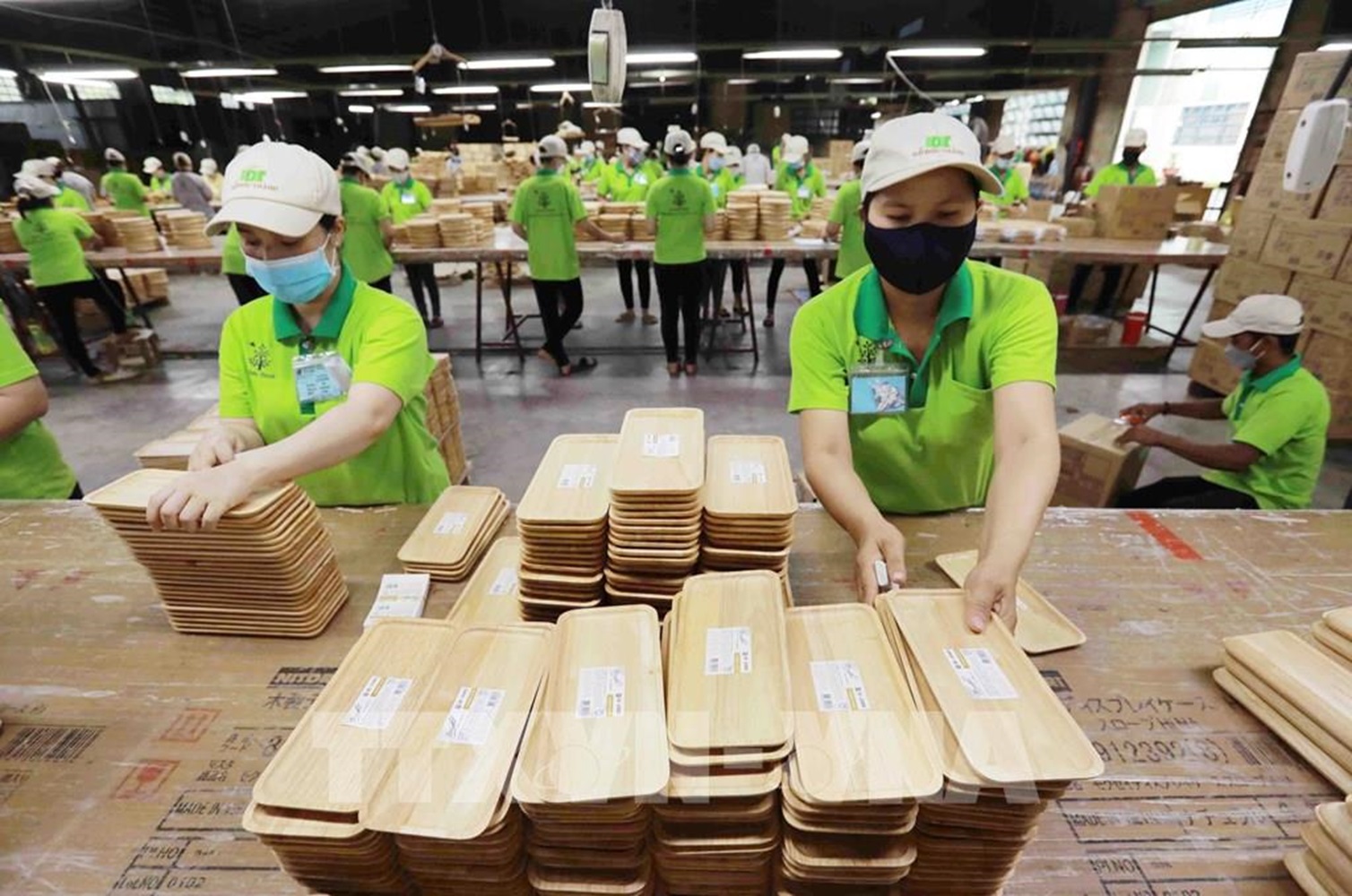 Xuất khẩu gỗ và sản phẩm gỗ “lỗi hẹn” với mục tiêu tăng trưởng, 2024 vẫn  còn nhiều thách thức - Nhịp sống kinh tế Việt Nam & Thế giới