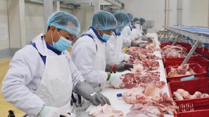 2023 exports of animal husbandry products to hit $430mln