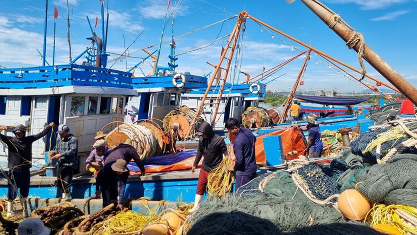 Tiếp tục giảm cường lực đánh bắt hải sản.