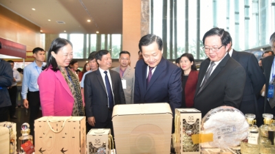 Binh Dinh striving to become a sea-based economic center