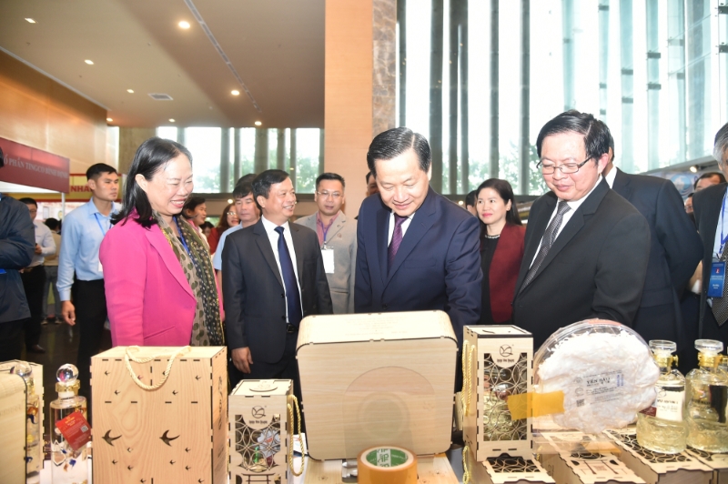 Binh Dinh striving to become a sea-based economic center