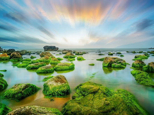 B&atilde;i đ&aacute; r&ecirc;u Nam &Ocirc; tr&ecirc;n địa b&agrave;n quận Li&ecirc;n Chiểu-một trong những điểm đến của đ&ocirc;ng đảo kh&aacute;ch du lịch