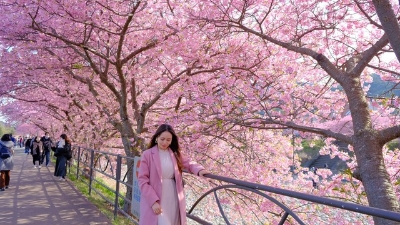 Vietnamese tourists to Japan hit record