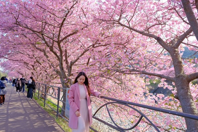 Vietnamese tourists to Japan hit record