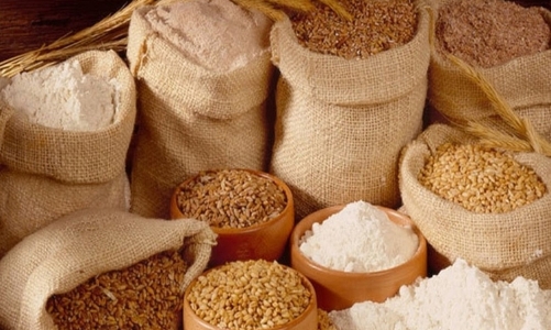 Thức ăn chăn nuôi trong nước: Tiến tới tự chủ nguồn cung 