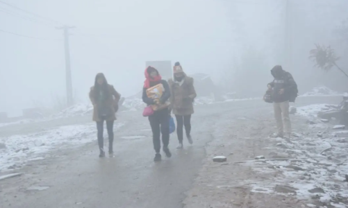 Thủ tướng yêu cầu chủ động phòng, chống rét đậm, rét hại kéo dài