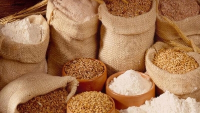 Vietnam exports $1.2bln worth of animal feed and raw materials