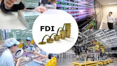 2023 FDI attraction hits $36.6bln