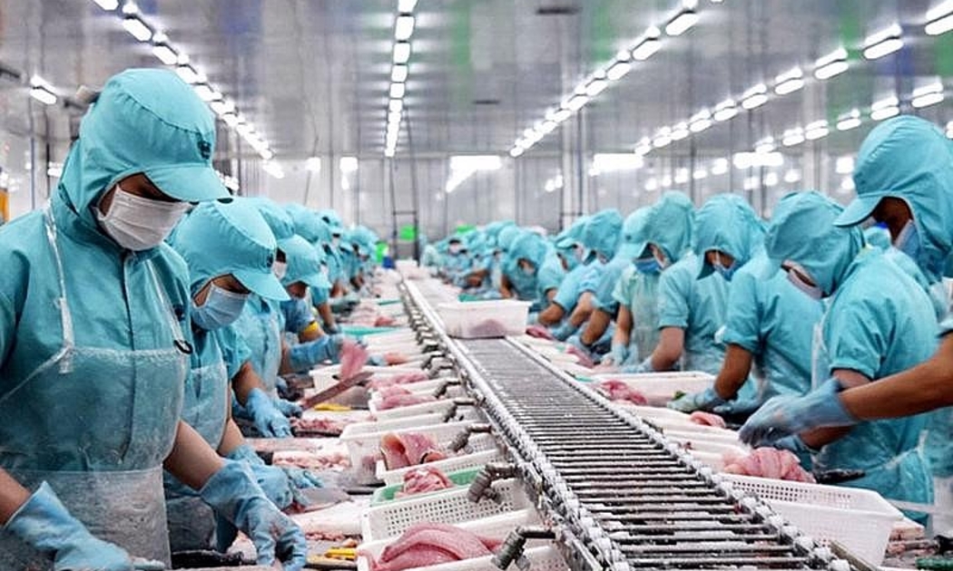 Năm 2023, xuất khẩu thuỷ sản sang thị trường châu Âu - châu Mỹ giảm mạnh.