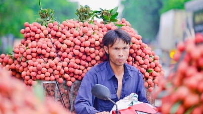 Bac Giang plans 165,000 tons of lychees for export in 2024