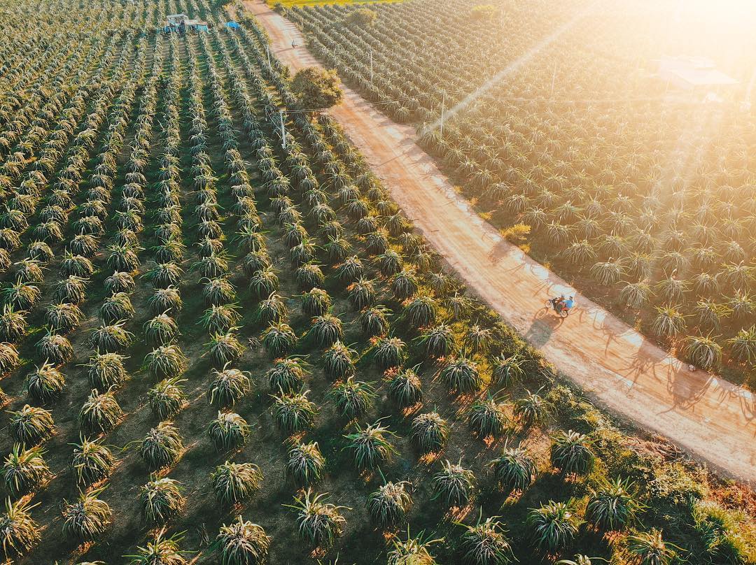 Bước chuyển m&igrave;nh trong năm &ldquo;thi&ecirc;n thời, địa lợi&rdquo; cũng đặt ra mục ti&ecirc;u ph&aacute;t triển bền vững cho du lịch B&igrave;nh Thuận trước chặng đường d&agrave;i sắp tới.