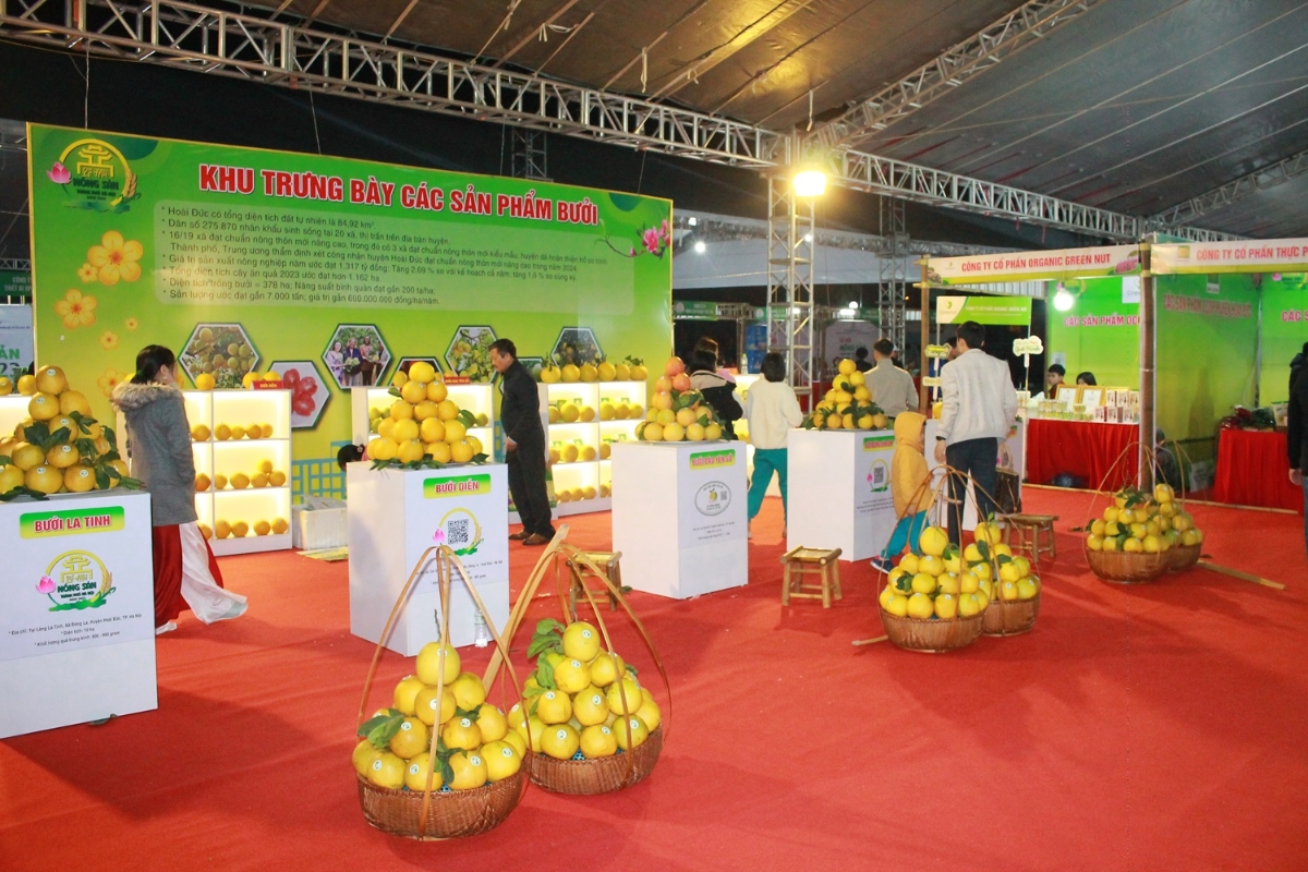 Sản phẩm bưởi đường La Tinh của huyện Ho&agrave;i Đức.