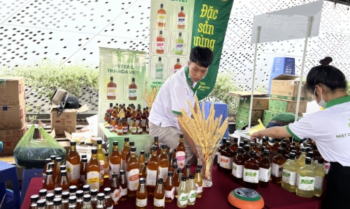 TP.HCM tổ chức Lễ hội Đặc sản bản địa Làng nghề truyền thống Việt Nam