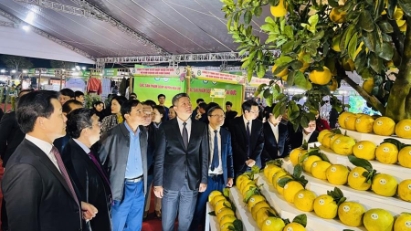 Hanoi festival introducing agricultural products opens