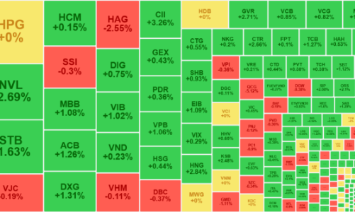 VN-Index chính thức vượt đỉnh, dòng tiền trong nước mạnh lên