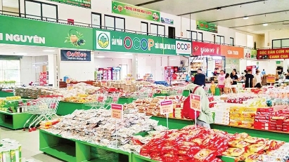 Vietnam boasts over 11,000 OCOP products