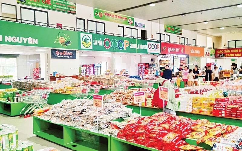 Vietnam boasts over 11,000 OCOP products