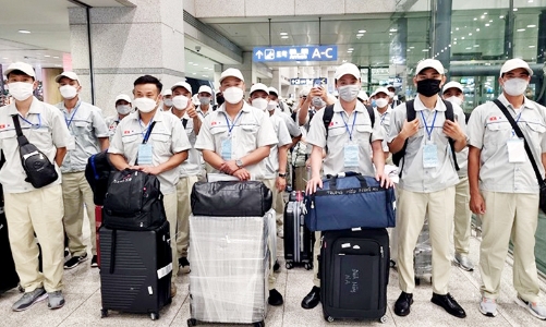 Dự kiến đưa hơn 15.000 lao động sang Hàn Quốc theo chương trình EPS trong năm 2024 