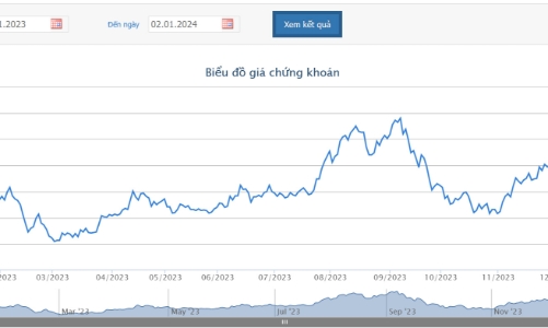 Cổ đông NVL thông qua phát hành 200 triệu cổ phiếu riêng lẻ và 1,17 tỷ cổ phiếu cho cổ đông hiện hữu