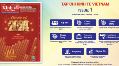 Tap chi Kinh te Viet Nam, Issue 1